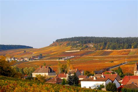 Paysage viticole de la Côte chalonnaise