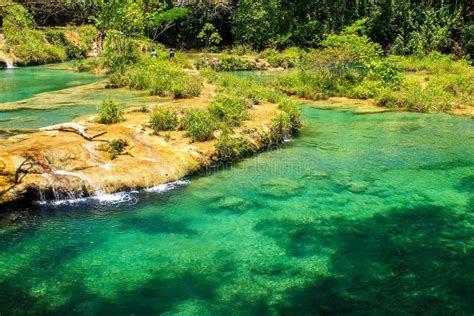 Piscines turquoise de Semuc Champey