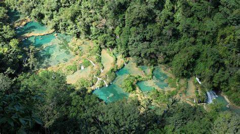 Jungle du parc naturel Semuc Champey