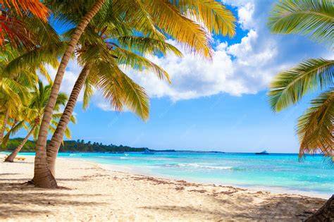Plage tropicale des Caraïbes