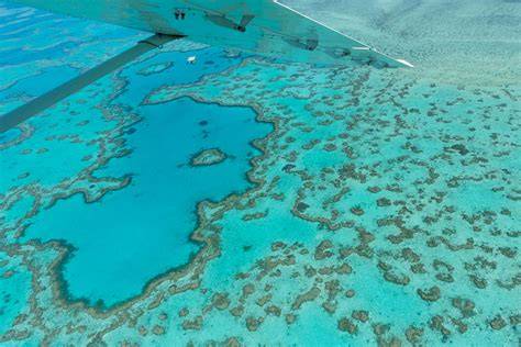 Grande Barrière de Corail près de Cairns