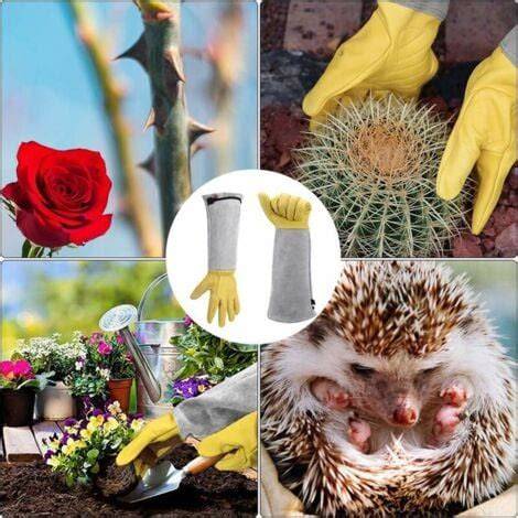 Gants de jardinage pour rosiers épineux