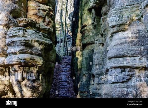 Falaises de grès du Mullerthal Luxembourg