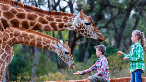 Famille visite parc animalier Mescoules
