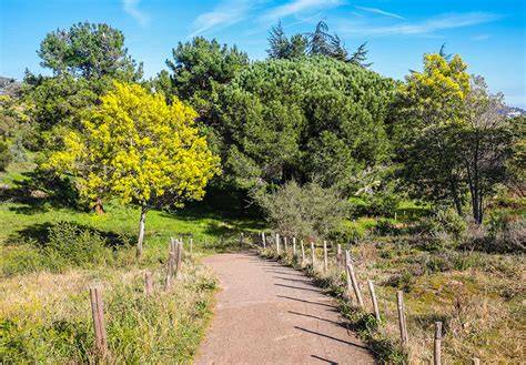 Parc naturel de la Croix-des-Gardes à Cannes