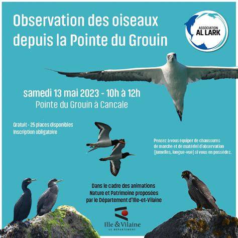 Oiseaux marins observés au Lenn