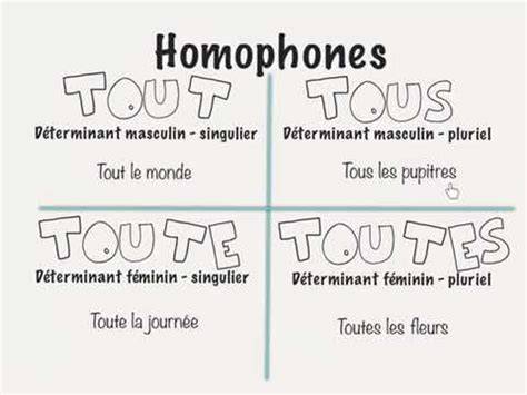 Différence entre tout tous toute toutes