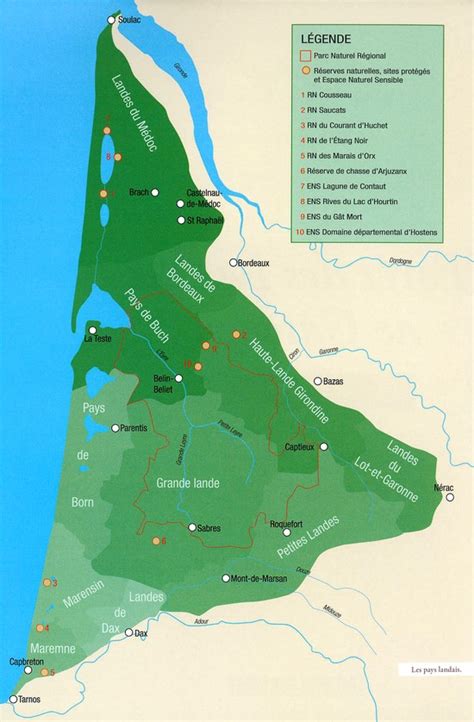 Forêt des Landes de Gascogne sentier randonnée