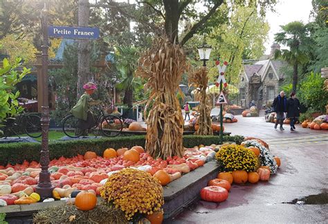 Décoration Halloween Europa-Park citrouilles