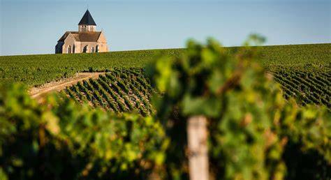 Vignobles de Chablis vallée du Serein