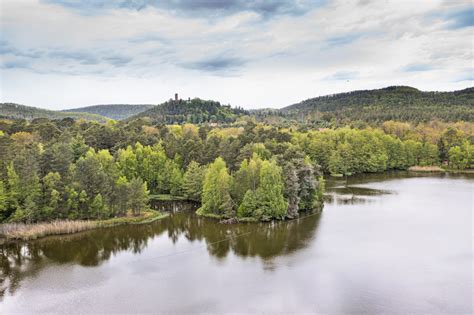 Forêt des Vosges du Nord et prairies