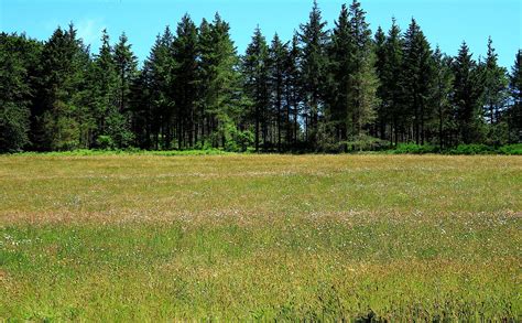 Paysage de forêt prairie et grandes cultures