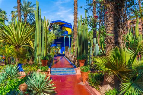 Jardin Majorelle bleu et végétation exotique