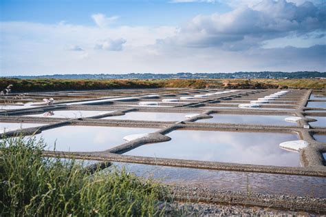 Marais salants de Guérande et Brière