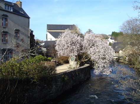 Pont-Aven rivière Bois d’Amour