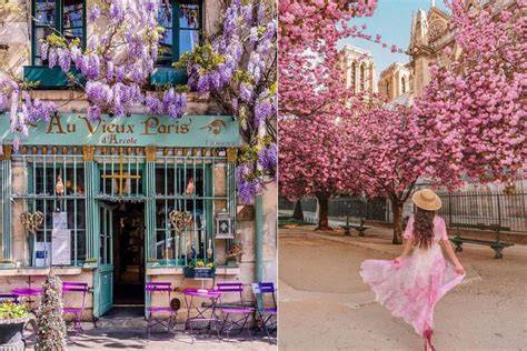 Disneyland Paris jardins fleuris au printemps