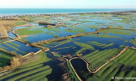 Marais et bocages du Cotentin