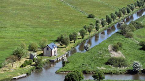 Observatoire dans les marais du Cotentin