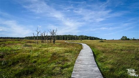Randonnée dans les Hautes Fagnes météo variable