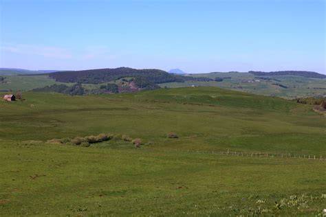 Plateau du Cézallier et paysages d’estive