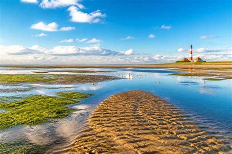 Vasières de la mer des Wadden à marée basse