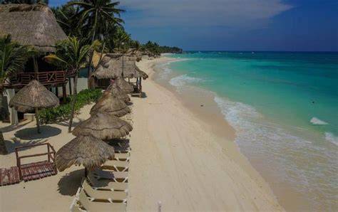 Mahekal Beach Resort plage et jardin tropical