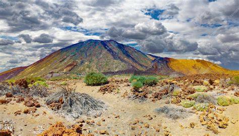 Paysages volcaniques et forêts de Tenerife